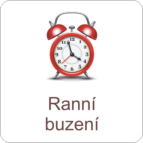 Buzení